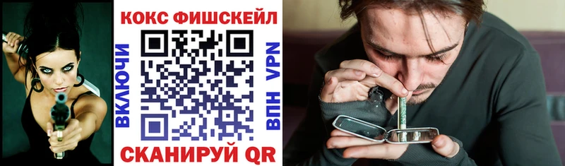 COCAIN Fish Scale  Купить  Данилов 