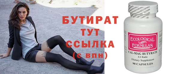индика Инсар
