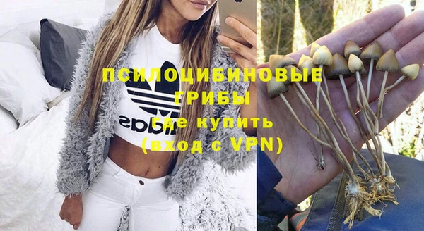 индика Инсар