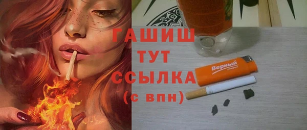индика Инсар