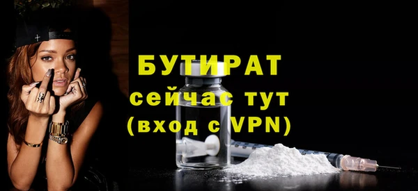 индика Инсар