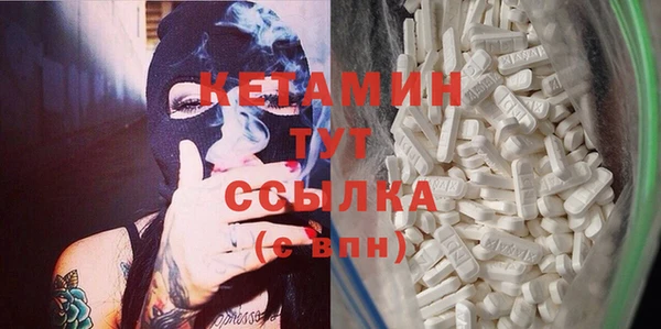 индика Инсар
