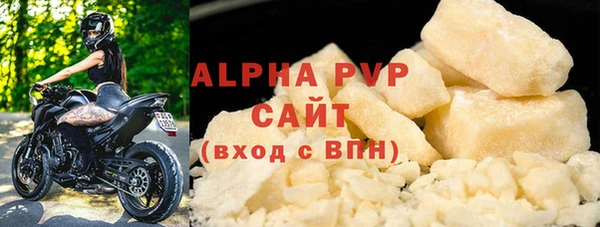индика Инсар