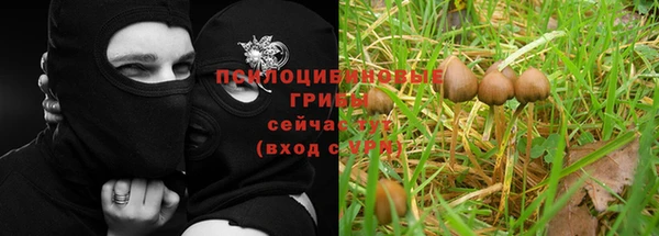 индика Инсар